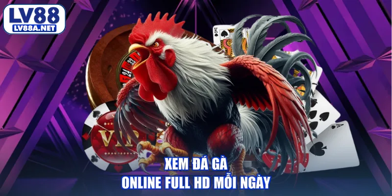 Xem đá gà online full HD mỗi ngày
