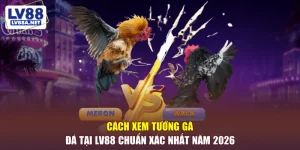 cách xem tướng gà đá