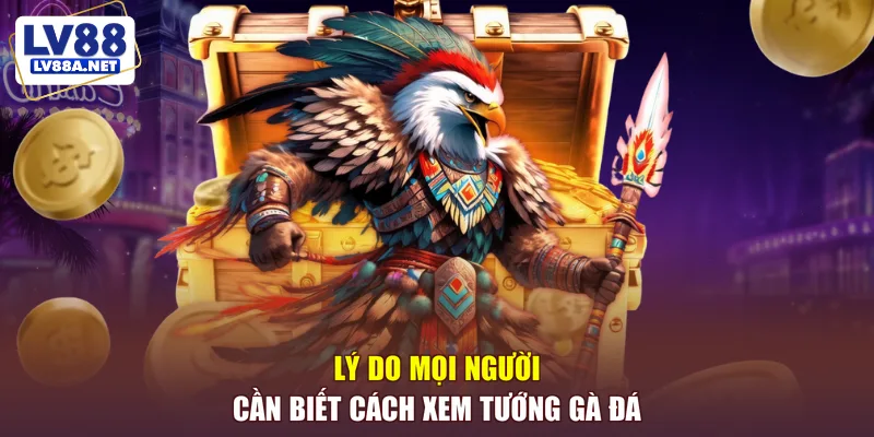 Lý do mọi người cần biết cách xem tướng gà đá