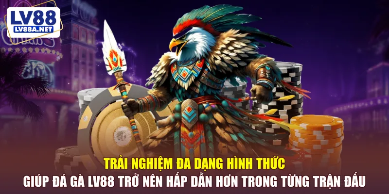 Trải nghiệm đa dạng hình thức giúp đá gà LV88 trở nên hấp dẫn